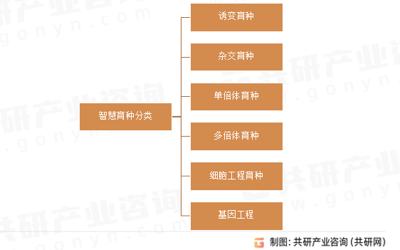 智慧育种分类