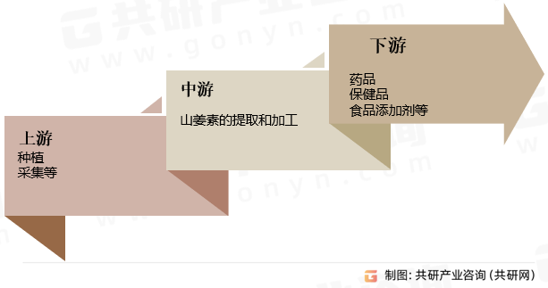 山姜素行业产业链
