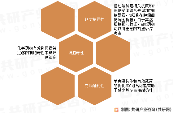 ADC药物特性