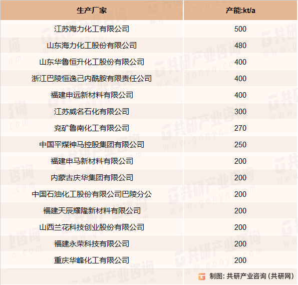 2021年我国环己酮主要生产企业及产能统计