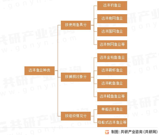 远洋渔业种类