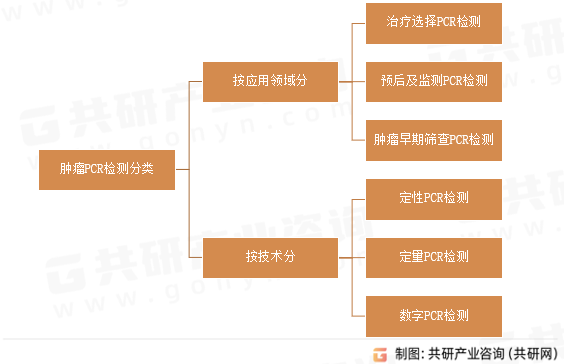 肿瘤PCR检测分类