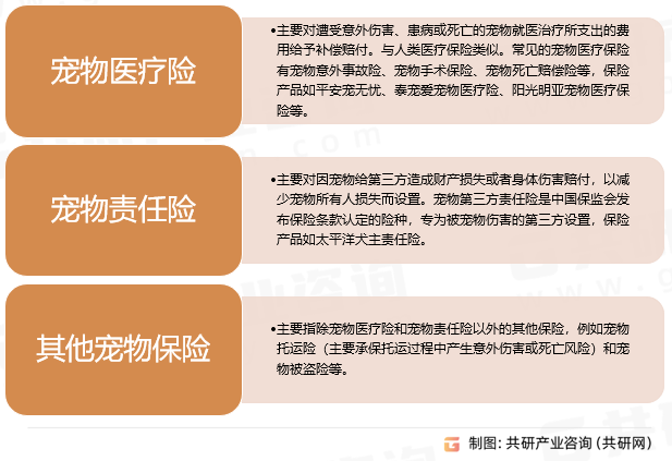 宠物医疗保险分类