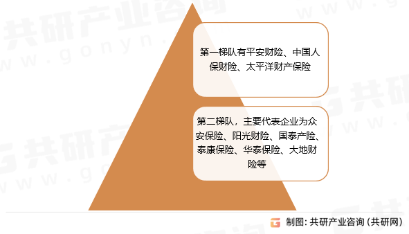中国宠物保险竞争格局分析