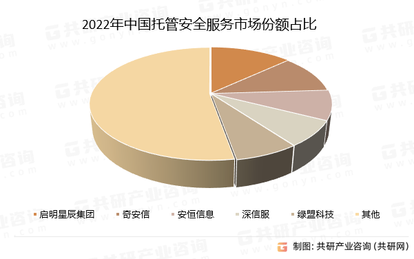 2022年中国托管安全服务市场份额占比