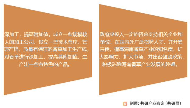 香草兰行业发展建议