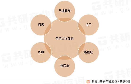 黄芪主治症状
