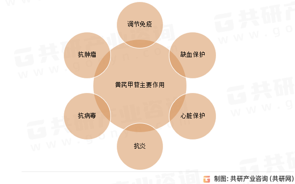 黄芪甲苷主要作用