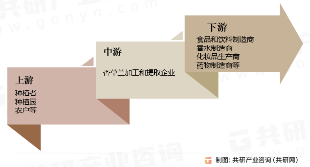 香草兰行业产业链