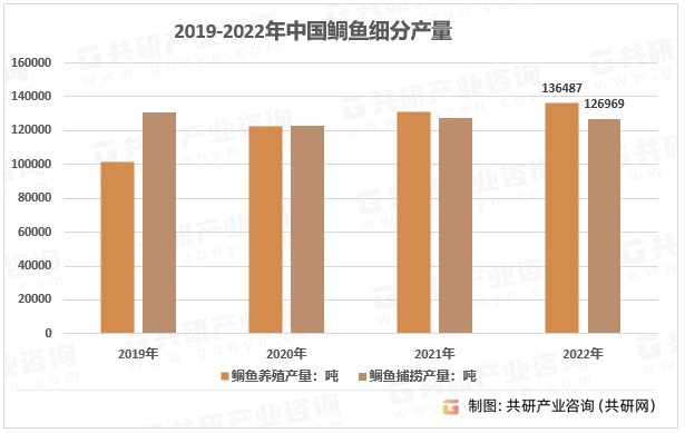 2019-2022年中国鲷鱼细分产量