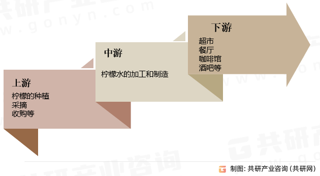 柠檬水行业产业链