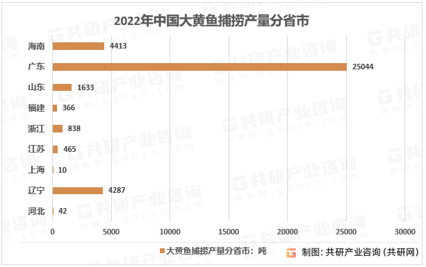 2022年中国大黄鱼捕捞产量分省市