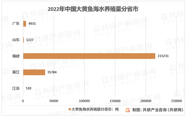 2022年中国大黄鱼海水养殖量分省市