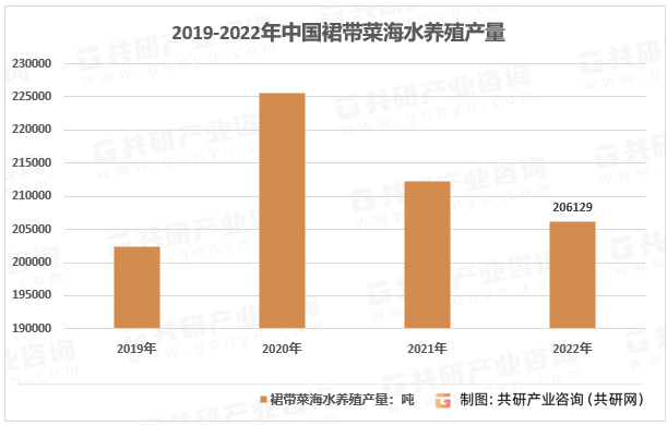 2019-2022年中国裙带菜产量