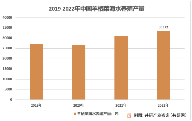 2019-2022年中国羊栖菜海水养殖产量