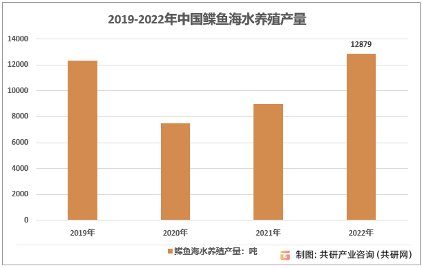 2019-2022年中国鲽鱼海水养殖产量