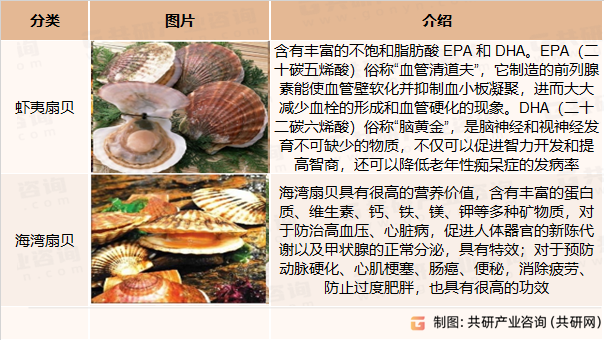 扇贝分类