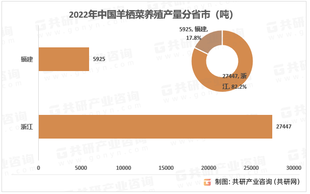 2022年中国羊栖菜养殖产量分省市（吨）