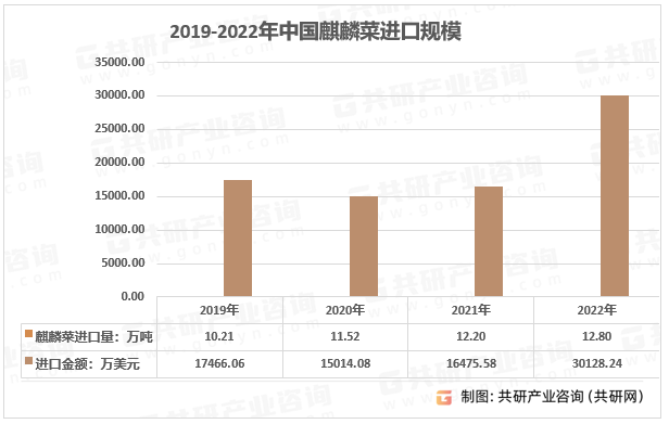 2019-2022年中国麒麟菜进口规模