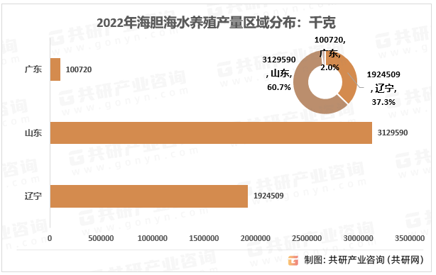 2022年海胆海水养殖产量区域分布：千克