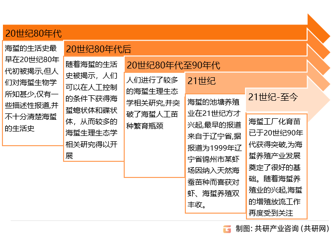 海蜇养殖发展历程