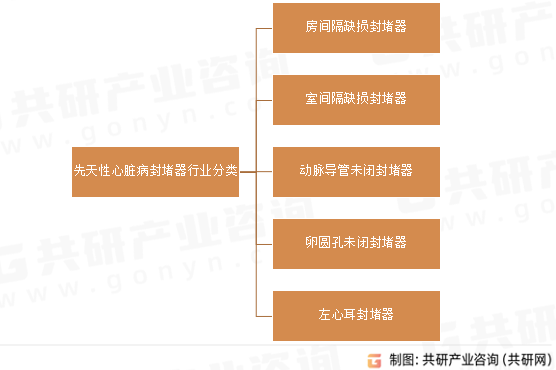 先天性心脏病封堵器行业分类