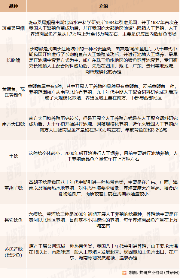 鲶鱼主要品种养殖现状