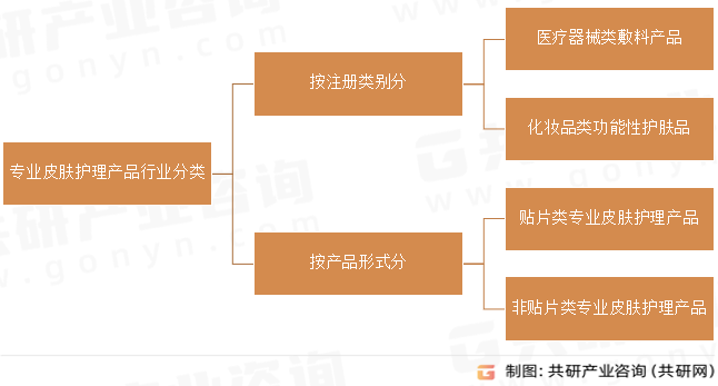 专业皮肤护理产品行业分类