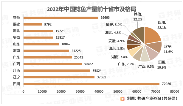 2022年中国鲶鱼产量前十省市及格局