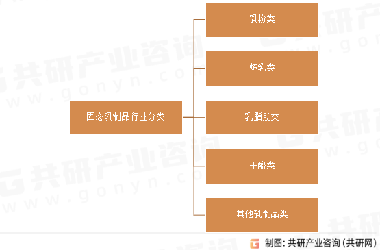 固态乳制品行业分类