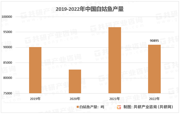 2019-2022年中国白姑鱼产量
