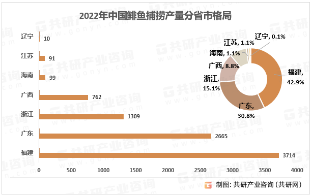 2022年中国鲱鱼捕捞产量分省市格局