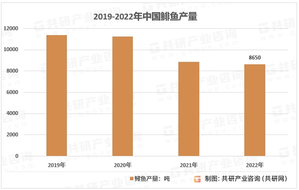 2019-2022年中国鲱鱼产量