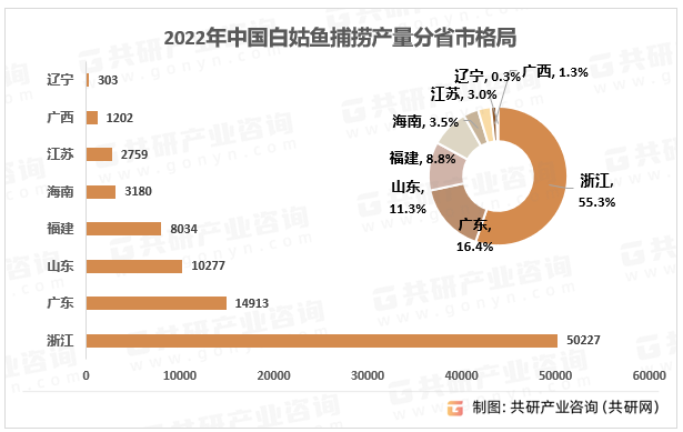 2022年中国白姑鱼捕捞产量分省市格局