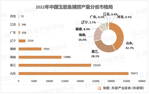 2022年中国玉筋鱼捕捞产量分省市格局