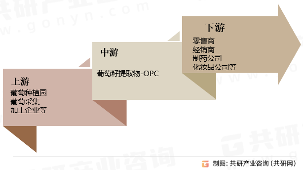 葡萄籽提取物-OPC产业链