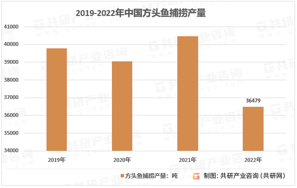 2019-2022年中国方头鱼捕捞产量
