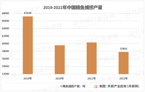 2019-2022年中国鳓鱼捕捞产量