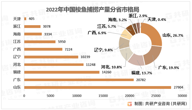 2022年中国梭鱼捕捞产量分省市格局