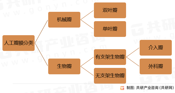 人工瓣膜分类