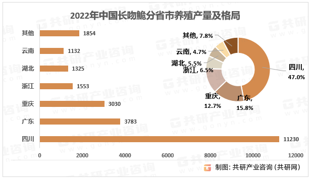 2022年中国长吻鮠分省市养殖产量及格局