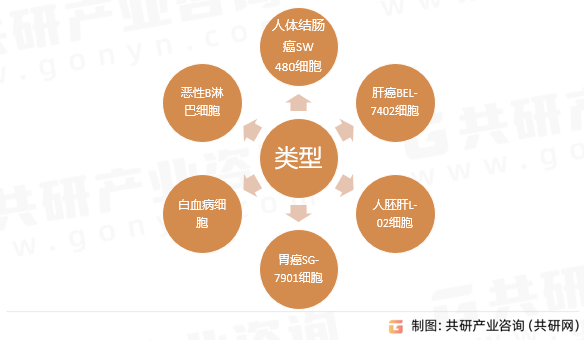 酒石酸锑钾抑制的癌症类型