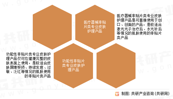非贴片类专业皮肤护理产品行业分类