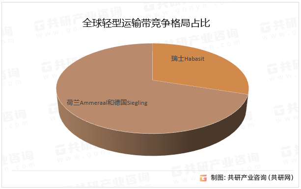 全球轻型运输带竞争格局占比