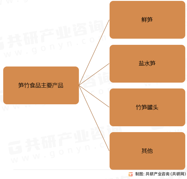 笋竹食品主要产品