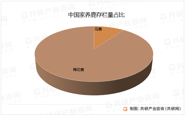 中国家养鹿存栏量占比