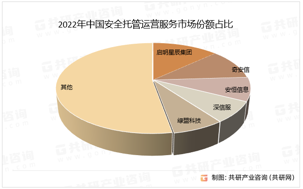 2022年中国安全托管运营服务市场份额占比