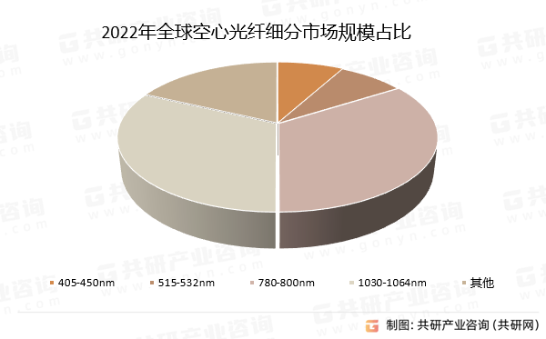 2022年全球空心光纤细分市场规模占比