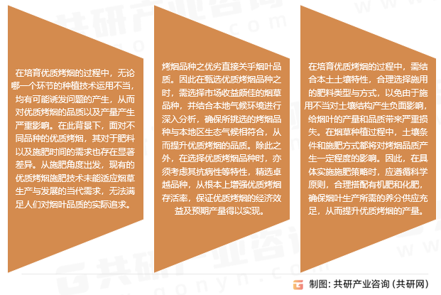 优质烤烟栽培技术改进措施