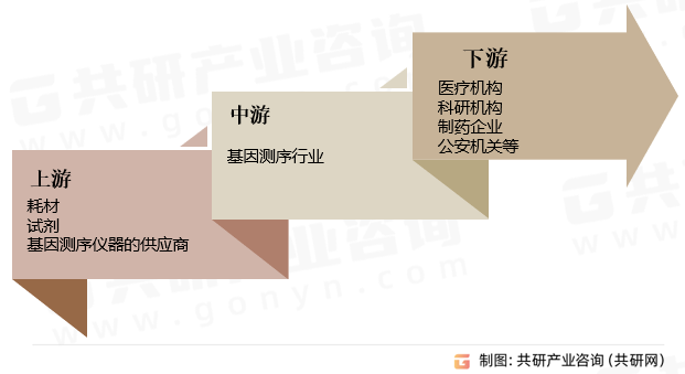 基因测序仪器产业链